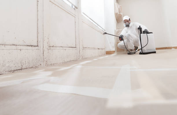 24/7 Emergency Mold Inspection experts in Mercer Island, WA